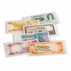 Pochettes de protection BASIC pour billets de banque (paquet de 50)