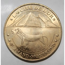 County 18 - SAINT AMAND MONTROND - THE CITY OF GOLD - MDP - 2005