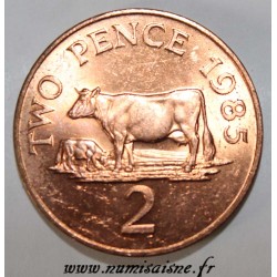 GUERNESEY - KM 41 - 2 PENCE 1985