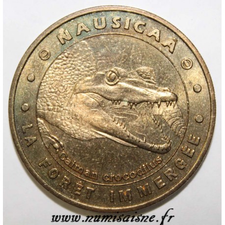 County 62 - BOULOGNE SUR MER - NAUSICAA - THE IMMERSED FOREST - CAIMAN - MDP - 2004