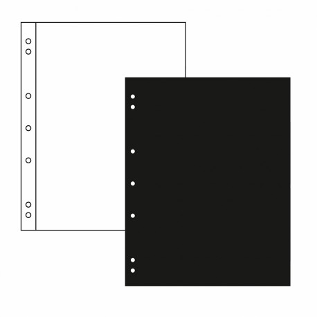 Intercalaires NUMIS - Blanc ou noir