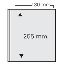 10 SHEETS FOR BANKNOTES FOR BINDER LOUIS / ARTLINE