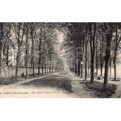 60800 - OISE - CREPY-EN-VALOIS - LE "GRAND CHEMIN VERT"