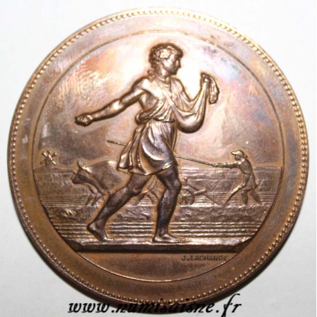 MEDAL - Agricultural Medal - LABOR SCENE - Golden Bronze