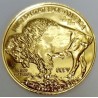 USA - MEDAL - 50 DOLLARS 2006 - INDIAN HEAD - BISON