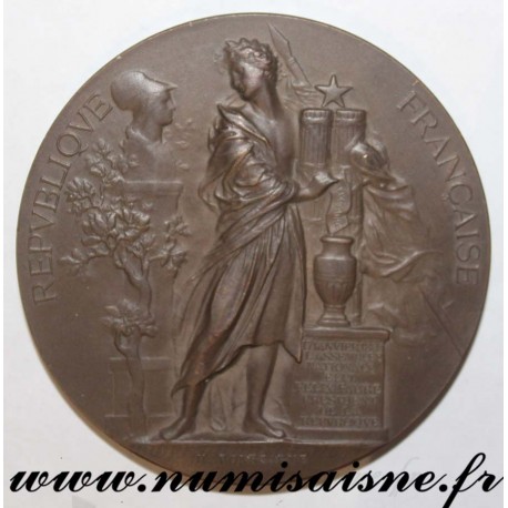 MEDAL - POLITICS - NATIONAL ASSEMBLY - SENATOR LÉONCE DE SAL