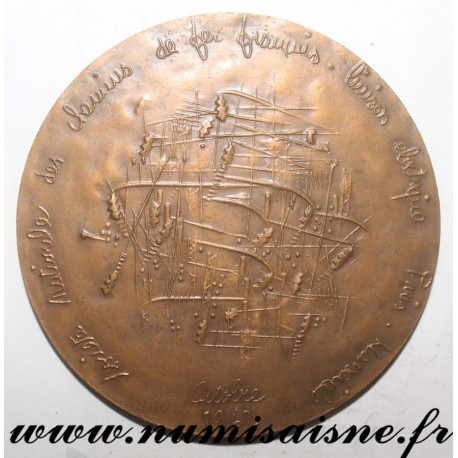 MEDAL -  RAILWAY - PARIS MARSEILLE ELECTRICAL LINK - 1962