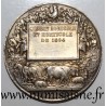 MEDAL - AGRICULTURE - LA GUERCHE DE BRETAGNE - AGRICULTURAL AND HORTICULTURAL ASSOCIATION - 1894