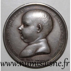 MEDAL - BIRTH OF NAPOLEON II - MARCH 20, 1811 - KING OF ROME - By Andrieu F.