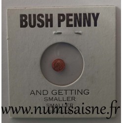 UNITED STATES - 1 CENT 1905 - INDIAN HEAD - BUSH PENNY