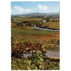 County 51287 - HAUTVILLERS - THE MARNE AND THE VINEYARD