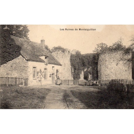 County 77560 - LOUAN-VILLEGRUIS-FONTAINE - THE RUINS OF CHÂTEAU MONTAIGUILLON