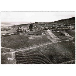 County 51360 - VERZENAY - AERIAL VIEW OF THE CHAMPENOIS VINEYARDS