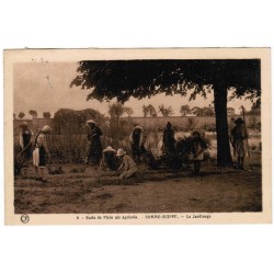 County 51600 - SOMME-SUIPPES - AGRICULTURAL OUTDOOR SCHOOL - GARDENING