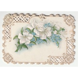 CARD - RELIEF IMAGE -...