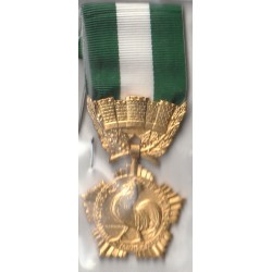 MEDAILLE – LOKALE REGIERUNGEN